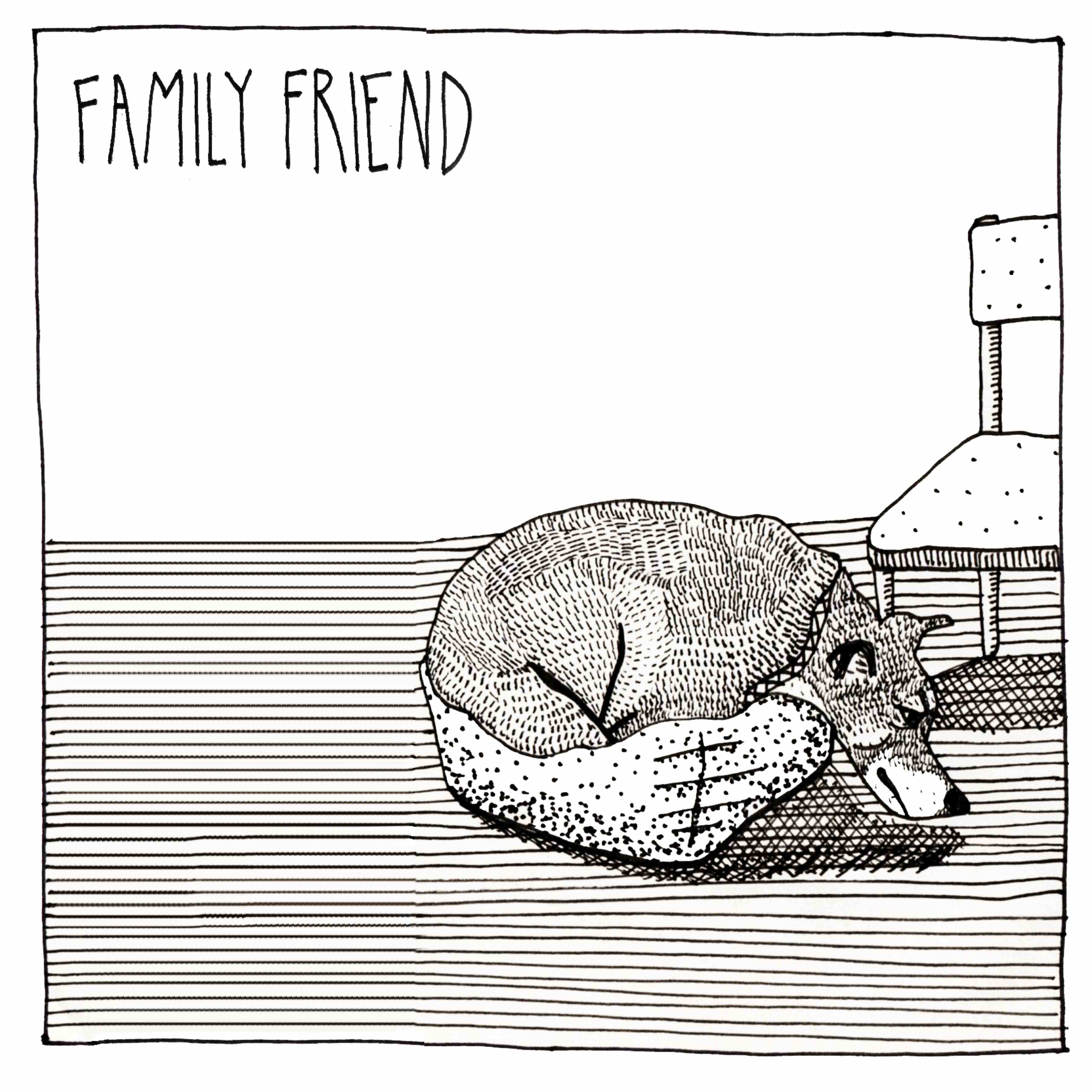 (image for) Family Friend Cass.