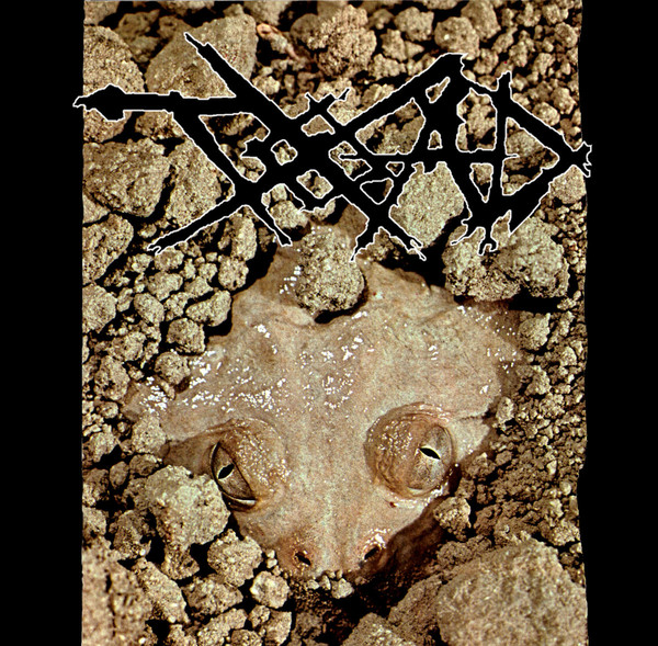 (image for) T.O.A.D. - Toad 7" - Click Image to Close