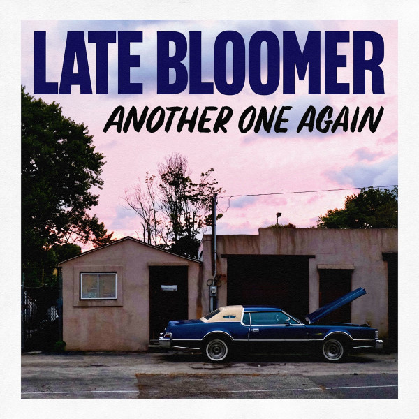 (image for) Late Bloomer - Another One Again LP