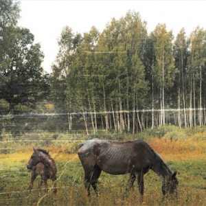 (image for) Pianos Become the Teeth - Old Pride LP