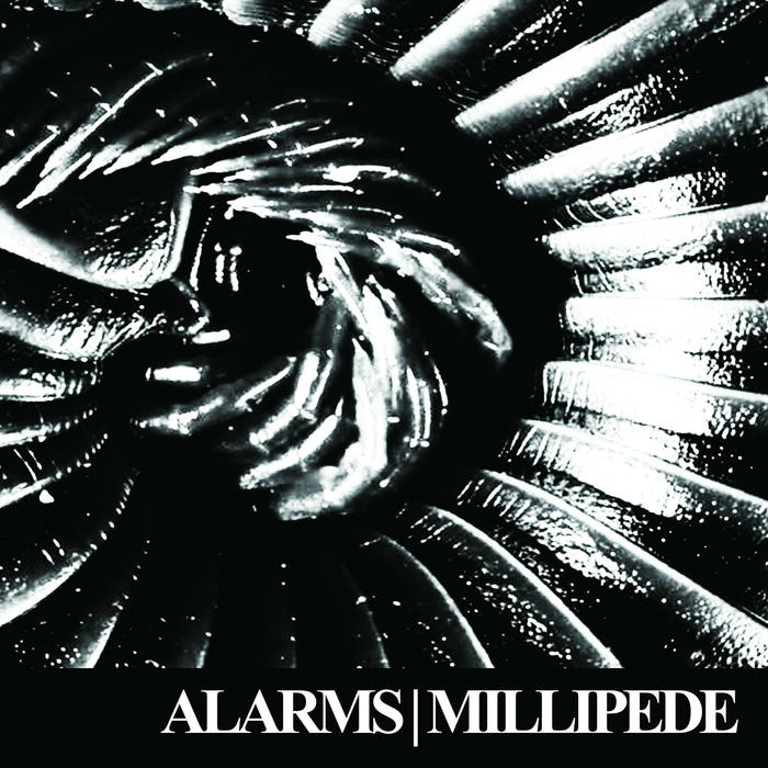 Alarms - Millipede LP - Click Image to Close