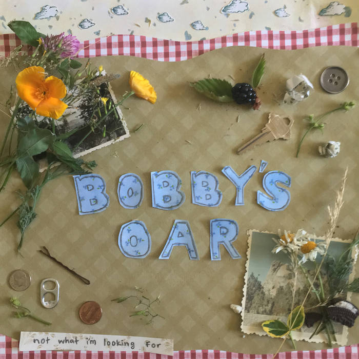 (image for) Bobby's Oar - Not What I'm Looking For LP