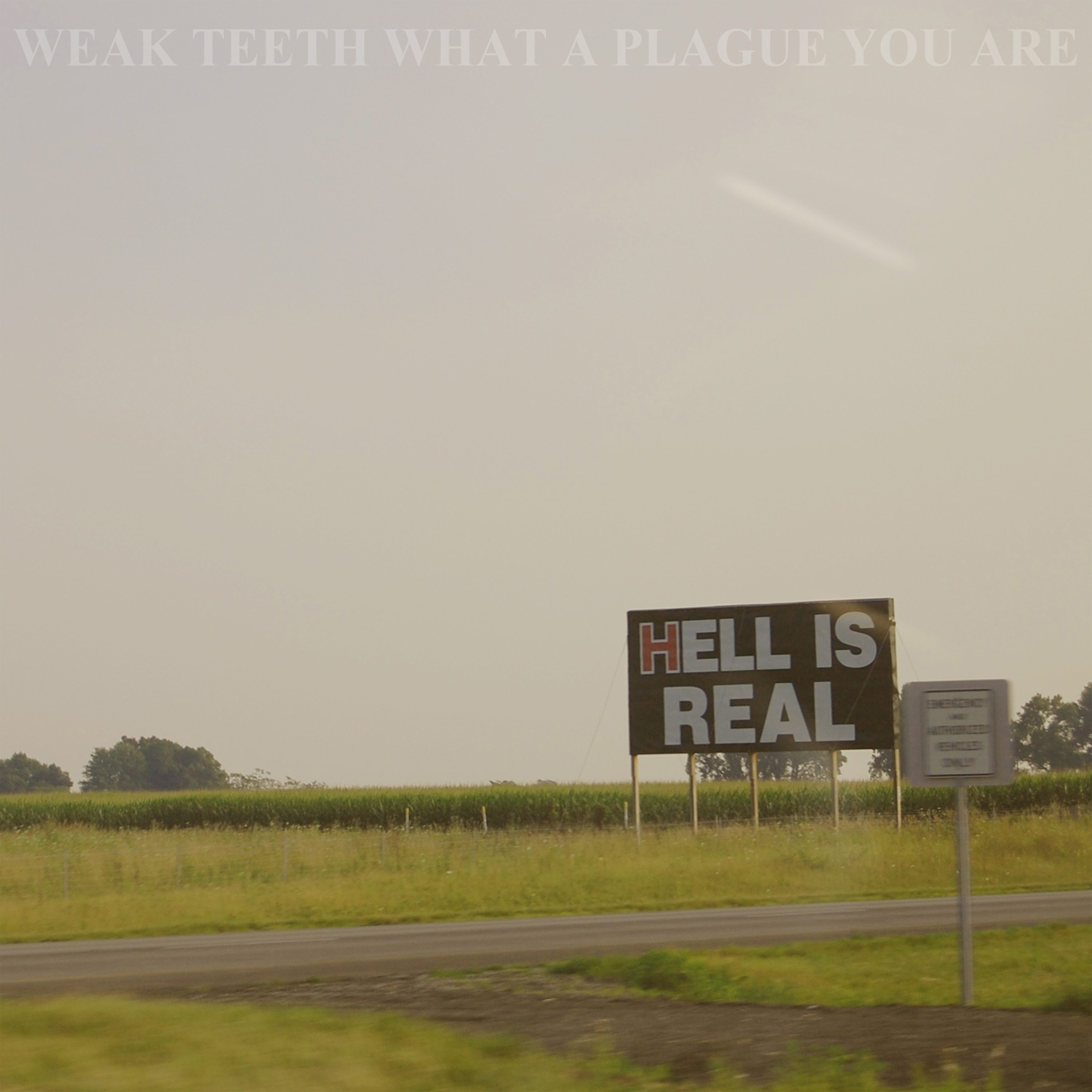 (image for) Weak Teeth - What A Plague You Are Cass.